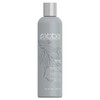 ABBA Detox Shampoo, Molasses, 8.45 Fl Oz