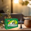 【HEM】Cone Incense, Aroma Incense, Bringing Healing from India (Coconut, 12