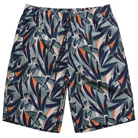 Dminyak Mens Inch Quick Dry Swim Trunks Beach Vacation Essentials Board Shorts