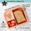 PrimaStella Unbreakable Silicone Lunch Box for Kids and Adults -
