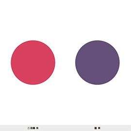 Tango Chirimen Embroidery Peep Gold Seal Fukusa in a Presentation Box Two Cranes (Vermilion) 46-013232