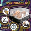 Spore Sorcery Medium Beginners Mushroom Grow Kit | Indoor Grow