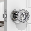 MAXECURITY 1 Pack Crystal Door Knob, Rosette Shaped Glass Door