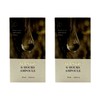 Mastina Mastic 6 Hours Ampoule 15ml x 2 / 매스티나 매스틱 6 아워스 앰플15ml 2개