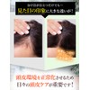 STAY FREE ROCKY SCALP ESSENCE Medicated Scalp Care Tonic [Quasi-Drug]