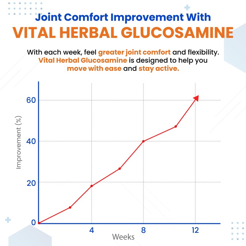 VITAL HERBAL Liposomal Glucosamine with Chondroitin, MSM- Maximum Potency- Support