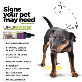 UroMAXX, Cat & Dog Urinary Tract Treatment, Bladder & Kidney Support for Dogs and Cats, Powerful Yet Gentle Pet Care, with Liquid Cranberry & Glucosamine, Salmon Flavor, 6 oz Bottle, 1 Pack