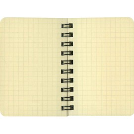 Delfonics Lorburn 500306-561 Mini Note, Light Pink