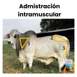 Complejo B Reforzado Vitaminas Para Perros Y Gatos 100ml