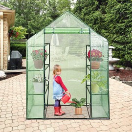 S AFSTAR Walk in Greenhouse, 56.5 x 29 x 77-Inch Green House with 2 Tier 8 Mesh Shelves & Zipper Roll-Up Door, Portable Greenhouse Mini Growing House, Greenhouses for Outdoors Garden Patio Backyard