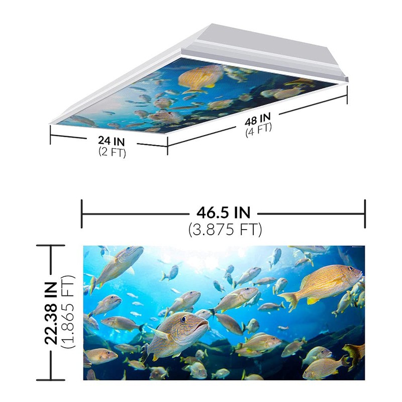 Fluorescent Light Cover for Classroom Ceiling Lights - Premium Backlit
