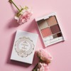 SOPHIE & MIRA Sophie & Mira Pertesia Basic Eyeshadow Palette