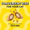 Temptations ShakeUps Crunchy and Soft Cat Treats, Clucky Carnival Flavor,