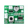 Audio Amplifier Board, DC 7.5-24V Mono Digital Power Amplifier Board