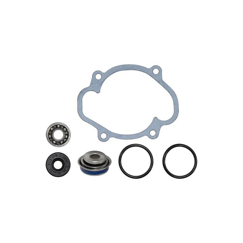 Water Pump Rebuilt Kit Compatible with Ski Doo Expedition 850