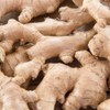 1 x Ginger Zingiber Officinalis - A Very Popular Spice