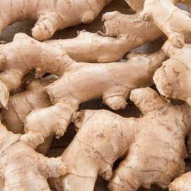 1 x Ginger Zingiber Officinalis - A Very Popular Spice - Culinary & Medicinal Use - for Your Beautiful Kitchen Garden