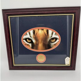 Auburn Tigers “Tiger Eyes” Collegiate Football Classics Framed Art 13”x15”