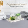 Luxspire Bathroom Vanity Tray, 8 x 4 inch Resin Kitchen
