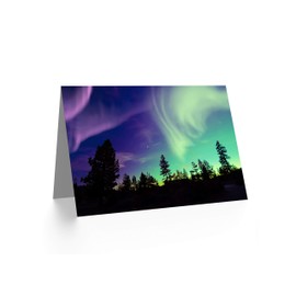 Fine Art Prints Northern Lights Pine Silhouette Greeting Card with Envelope Inside Premium Quality Black Green 12.5cm x 17.5cm CLDT0167