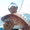 Hayabusa IS600 7-2 Marine Fishing Pond, With Thread, Red Snapper