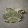 인도네시아 그라비올라 100g 건 건조 잎 차 Indonesian Graviola 100g