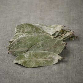 인도네시아 그라비올라 100g 건 건조 잎 차 Indonesian Graviola 100g Dried Leaf Tea