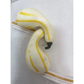 Ashland Decor Pumpkins Various Colors & Shapes 22 Total 11 different pumpkins