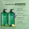 Botanic Hearth Tea Tree Shampoo And Conditioner Set | With