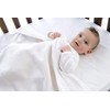 Little Bamboo Crib Fitted Sheet