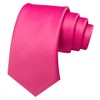 RBOCOTT Hot Pink Tie Polyester Necktie for Men(61)