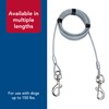 Coastal Pet Titan Giant Cable Dog Tie Out - Heavy-Duty
