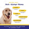 PupGrade Itch & Allergy Chews – Immune & Anti-Itch Support