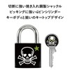 Master Lock 3430EURDSKULL Skull Padlock, Key Type, Small, Print, Main
