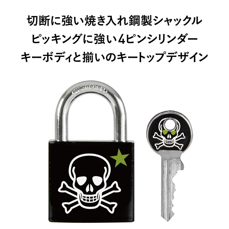 Master Lock 3430EURDSKULL Skull Padlock, Key Type, Small, Print, Main