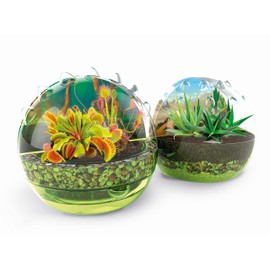 Clementoni Galileo Lab Discover the World of Carnivorous Plants - Experiment Box with Seeds & Greenhouses, for Children from 8 Years - 59346