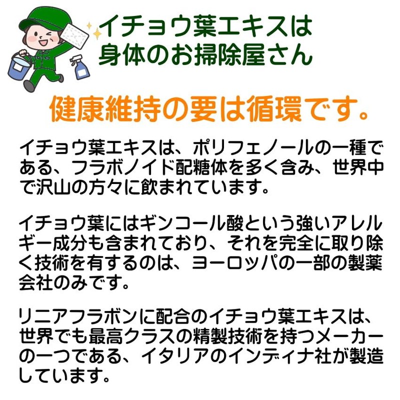 イチョウ葉 エキス +DHA 【リニューアル】 リニアフラボン 90粒 ×6個セット イタリア インディナ社 フラボノイド