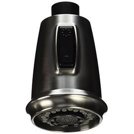 Delta Faucet RP60735SS 1.5 Gpm Victorian Wand Assembly, Stainless