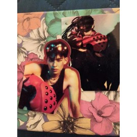 GMMTV BL Actors Tekken 6 Gentle Monster Archen Pond Naravit Stickers X2 Lot