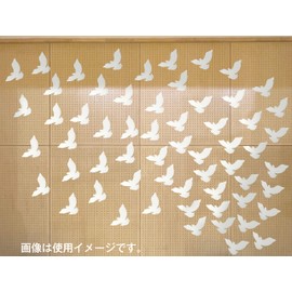Display Cards, White, 50