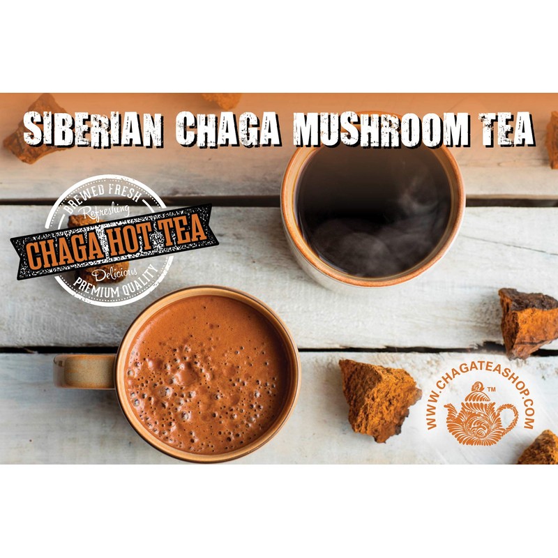 Siberian Chaga Mushroom Individual Filter Tea Bags Original 20 Filter