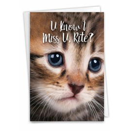 The Best Card Company, Miss U Kitties - Cute Miss You Card with Envelope - Goodbye, Thinking of You Notecard - Adorable Pet Cat C3365BMYG