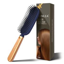 SHINLEA Detangler Slimy Hair Brush, Massaging Scalp Hair Brush for Long, Thin, Curly, Wavy, Dry Hair, Reduces Hair Breakage, Eliminates Knots, Hair Brush with Ball Head Bristles