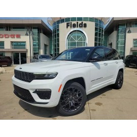 BASF Touch Up Paint for Jeep Grand Cherokee with paint code PW7,  Bright White.