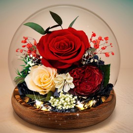 LAUDAWSUN Preserved Flowers Gift for Women, Forever Rose in Glass Dome with LED Light, Eternal Light Up Rose in Glass Dome Gifts for Women Mom Girlfriend Wife (Red)