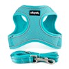 AIBPET Dog Harness with Leash for Small Dogs, Soft, Lightweight,