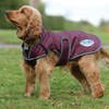 WeatherBeeta ComFiTec Windbreaker Free Deluxe Dog Coat, Maroon/Grey/White, 18"