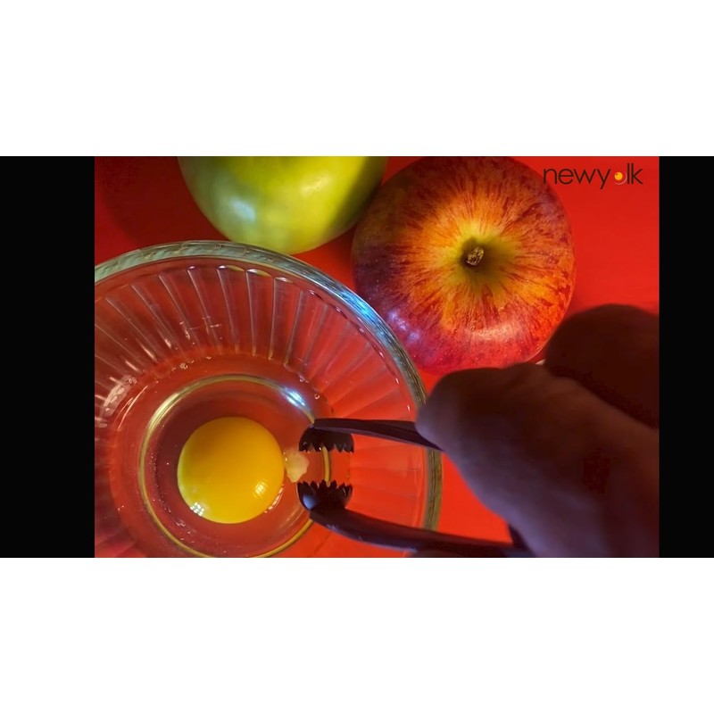 The Original Egg Tool. Engineered to instantly pick up broken