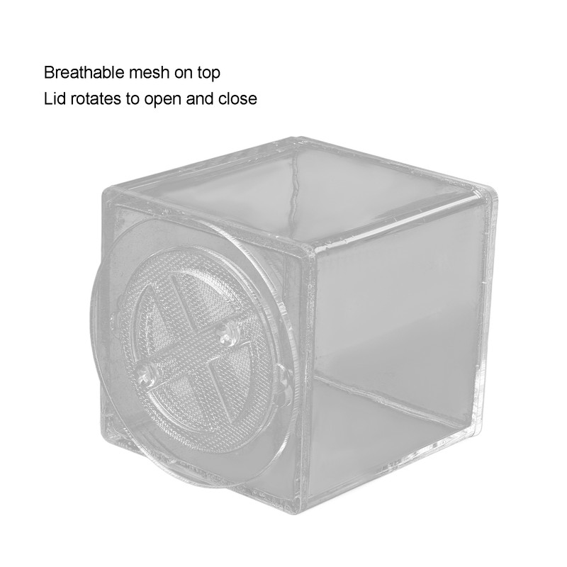 Square Insect Breeding Box Cricket Spider Reptile Insect Square Acrylic