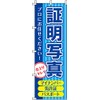 Nobori Certificate Photo Blue 0130161IN